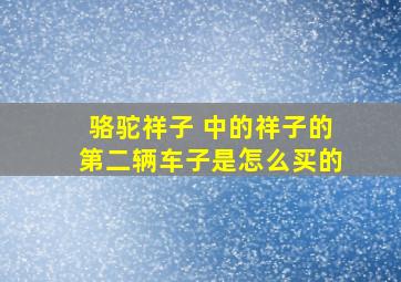 骆驼祥子 中的祥子的第二辆车子是怎么买的